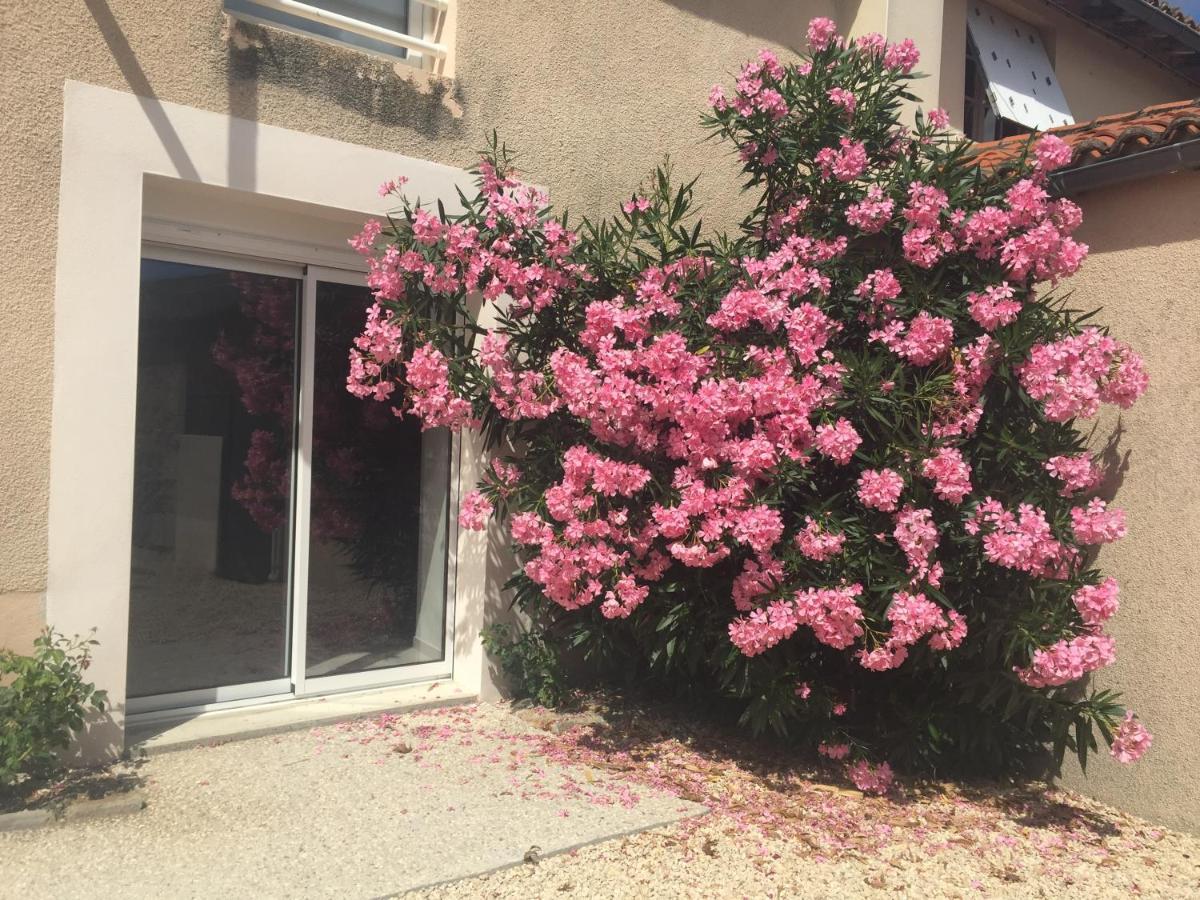 Gite De La Foye - Le Magnolia Combrand Exterior photo